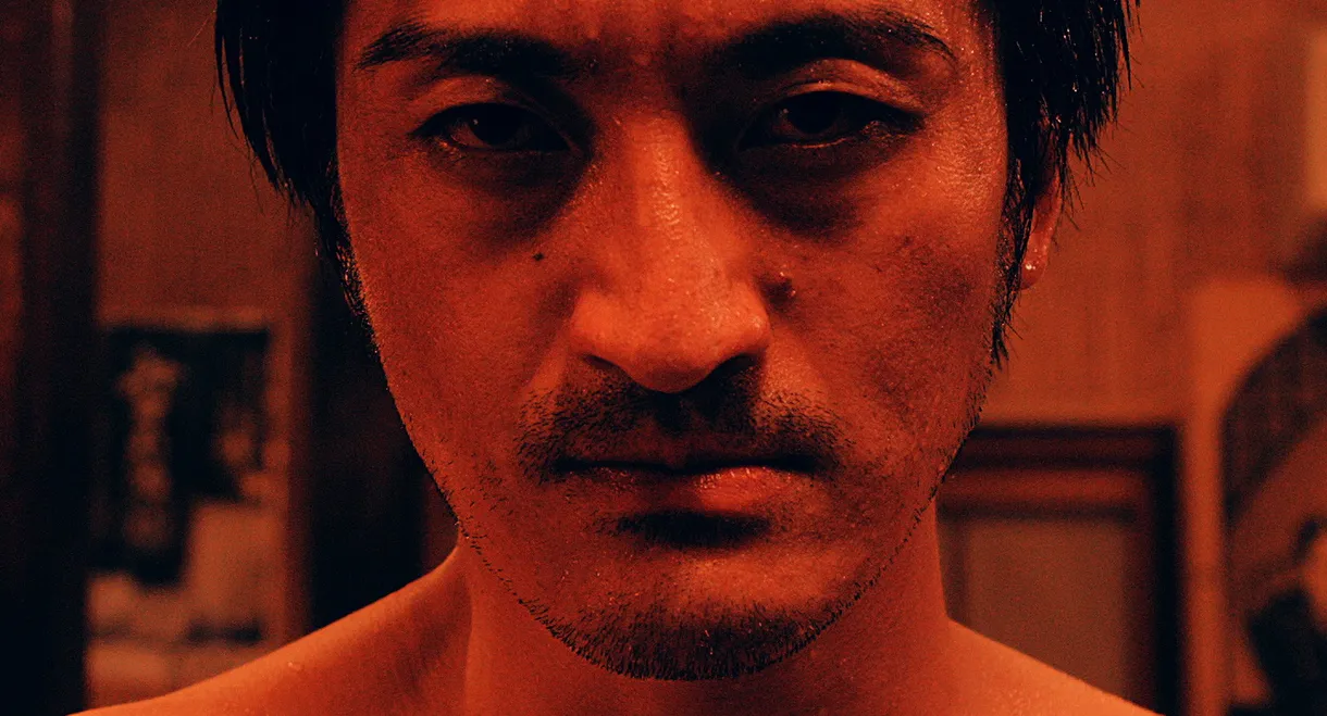 Journey of the Tortoise