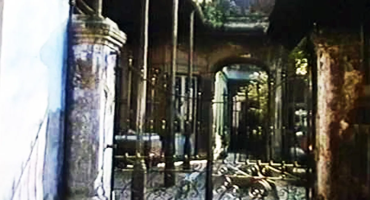 El amante de las películas mudas