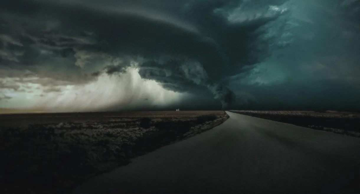 The Twister: Caught in the Storm