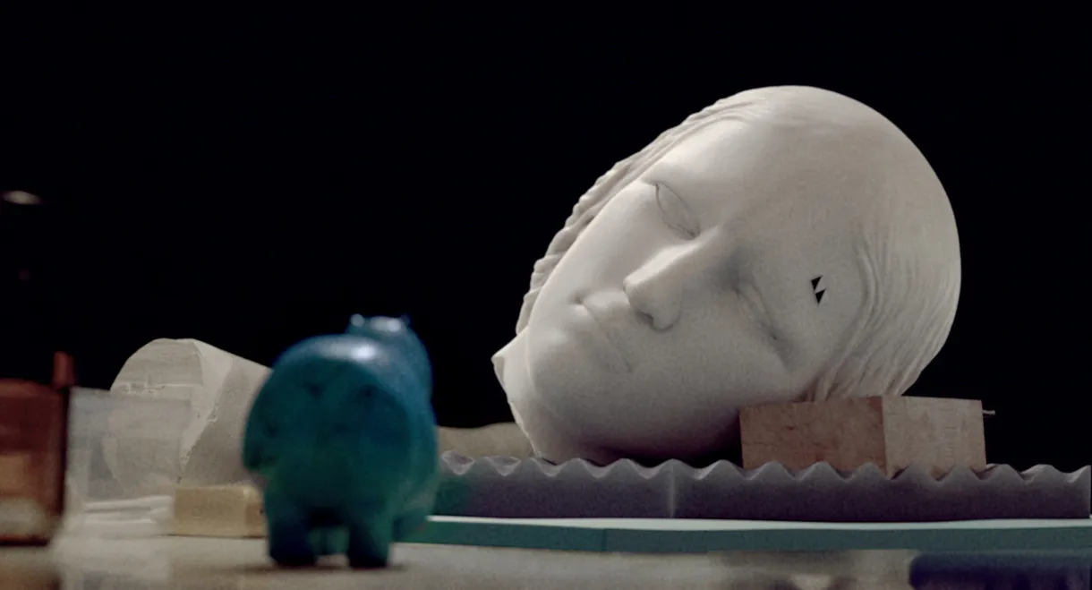 The Marvelous Misadventures of the Stone Lady