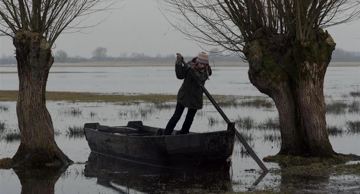 Other Side of Silence