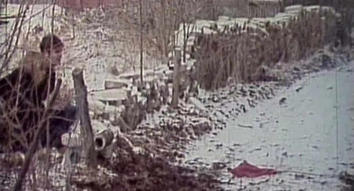 Paradise. An Imperialist Tragicomedy