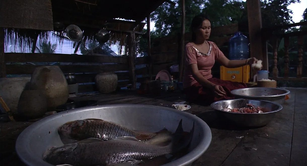 Super Fish - An Endless Adventure