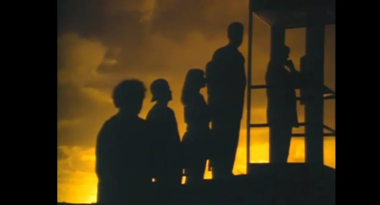 Mr. Petrified Forrest