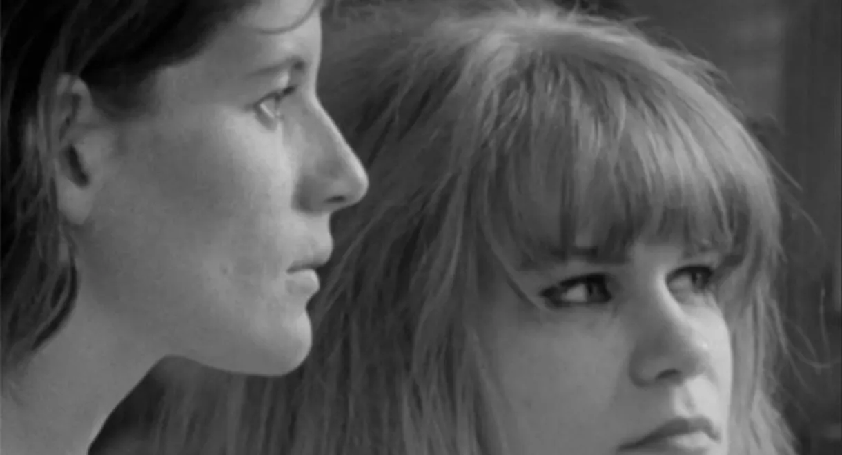 Notes for a Film About Donna & Gail