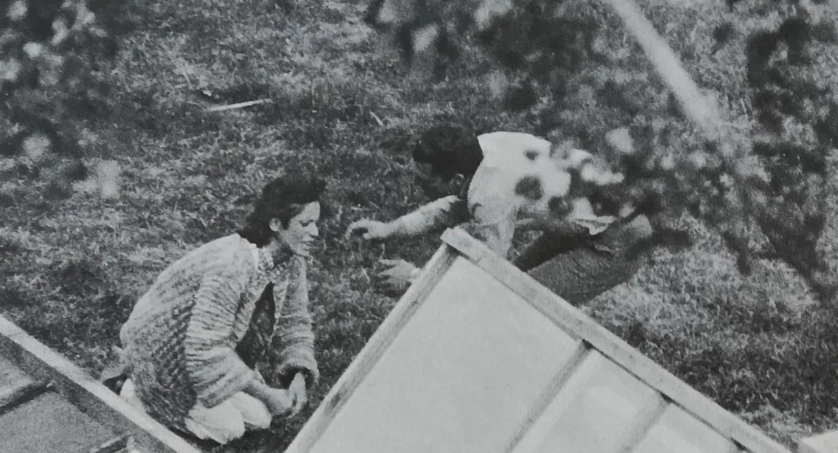 The Enclosure