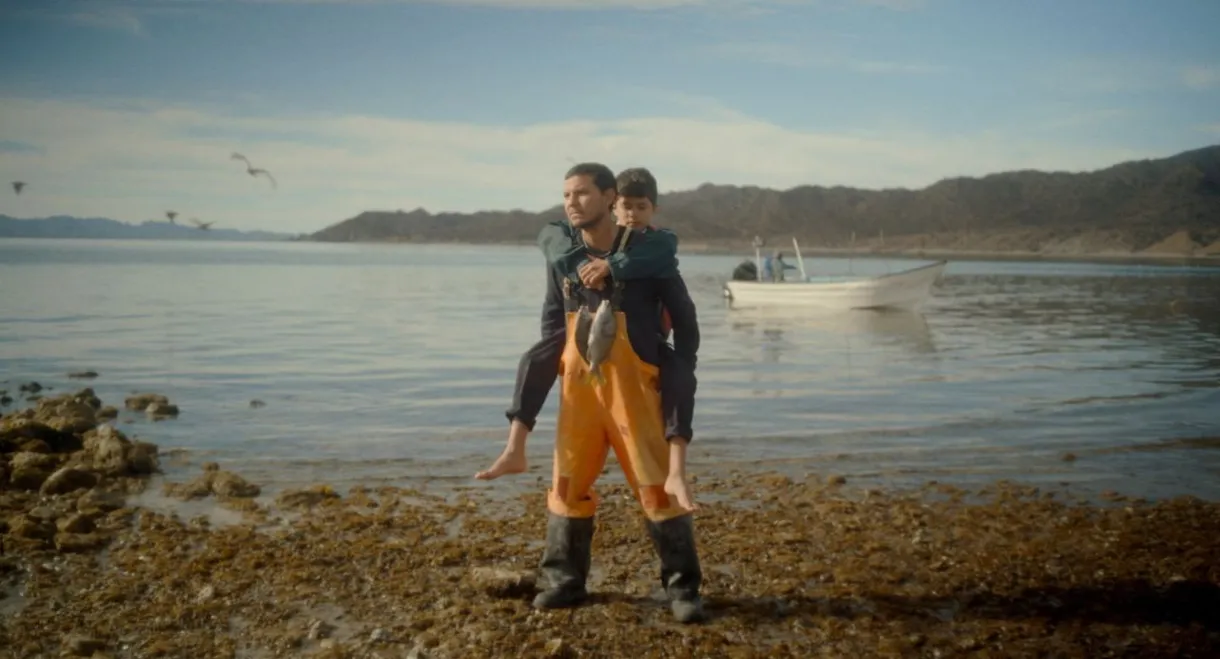 Una mano bajo la nieve y otras historias