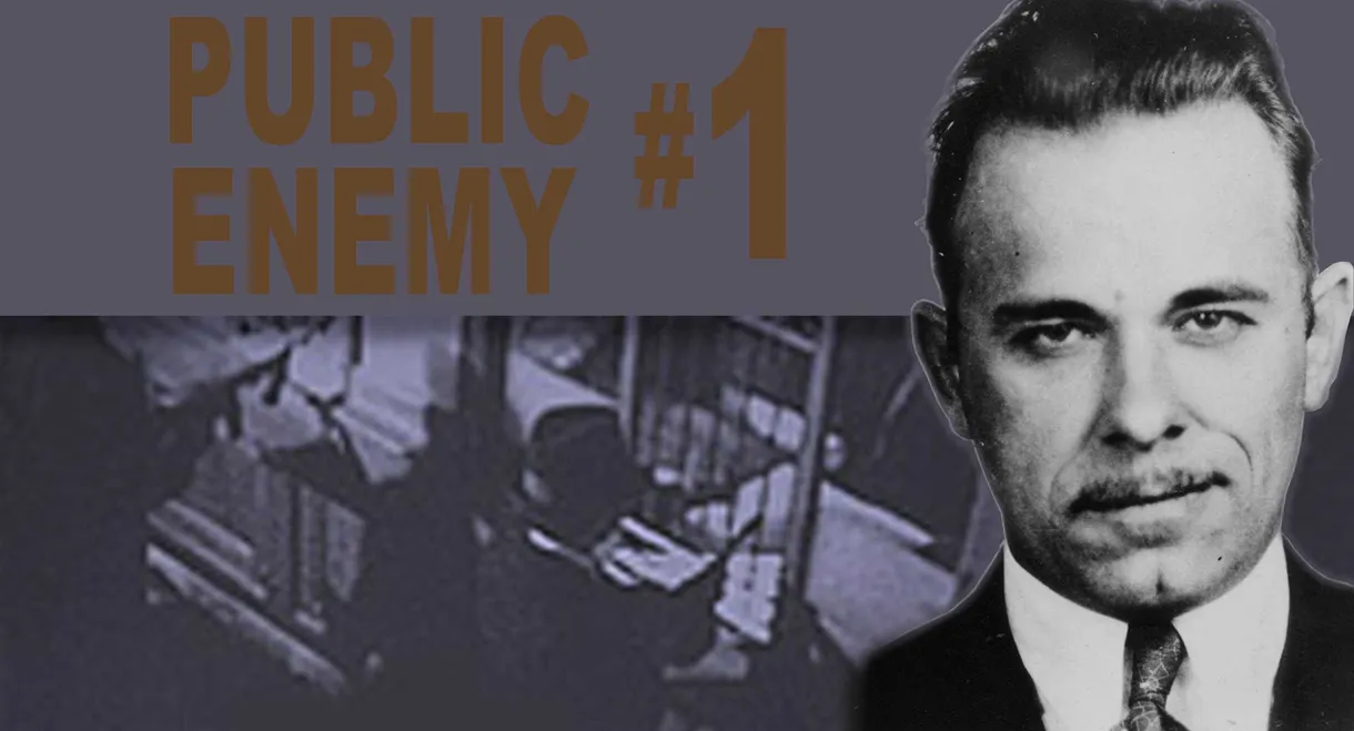 Public Enemy #1
