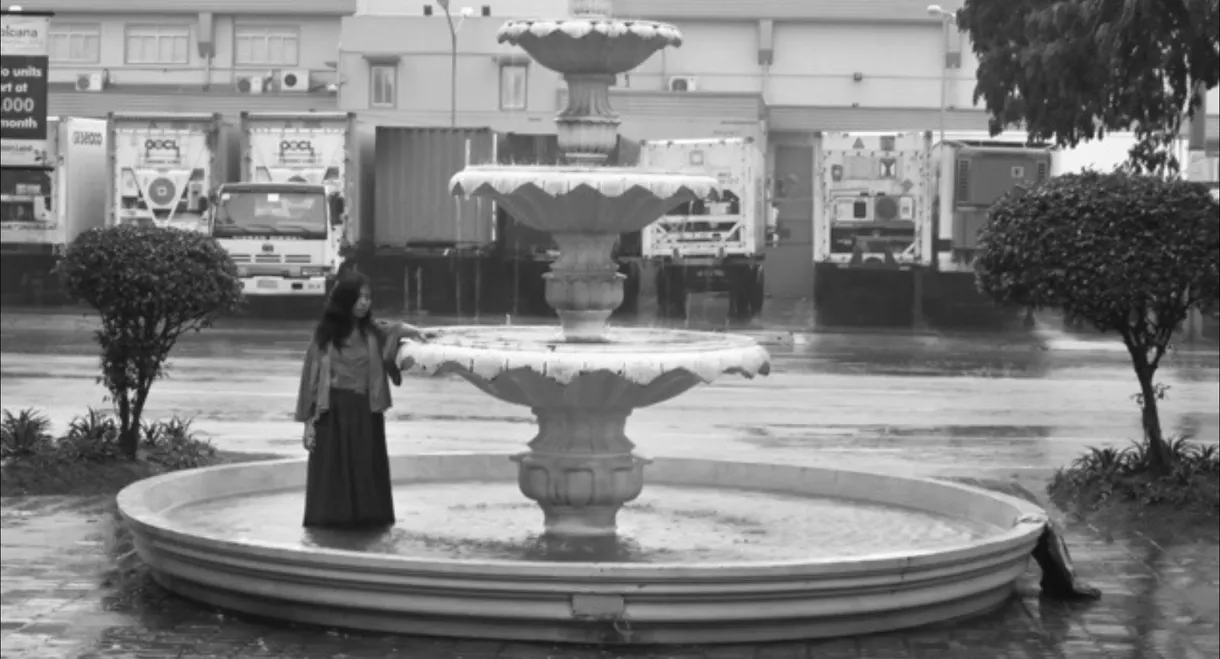 Elegy to the Visitor From the Revolution