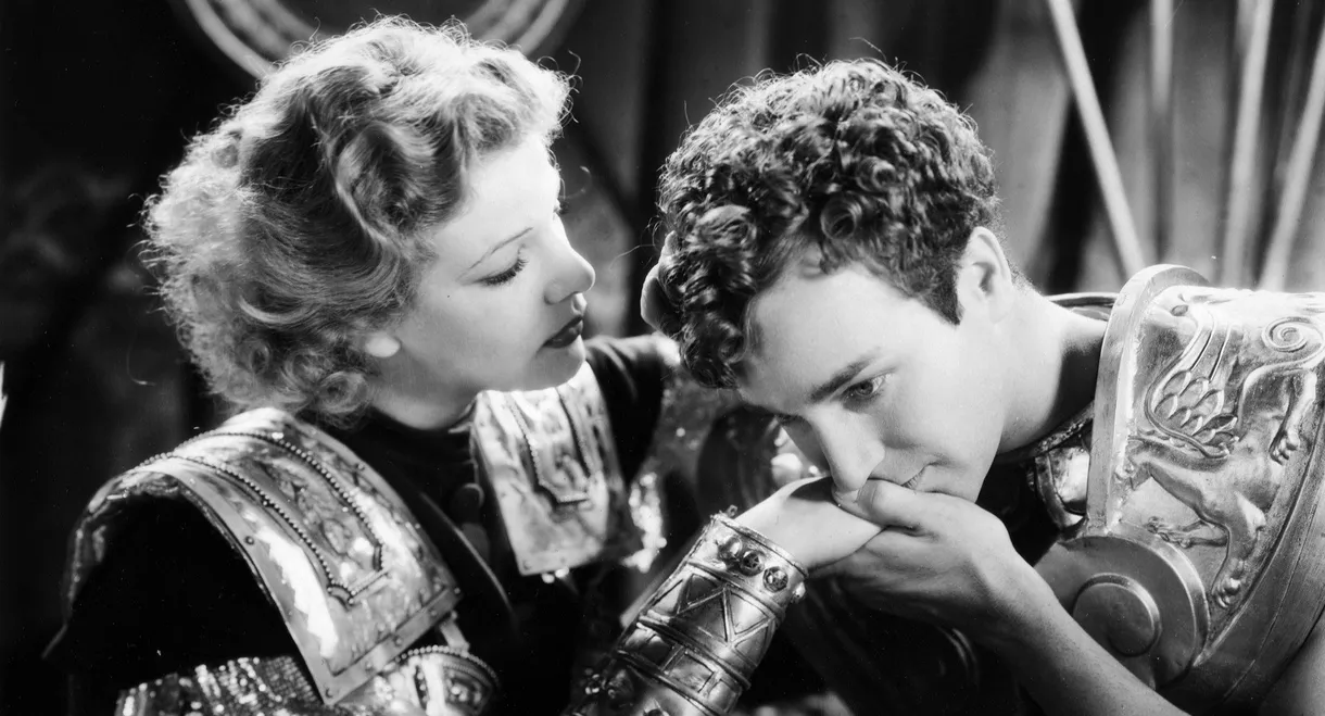 The Warrior's Husband