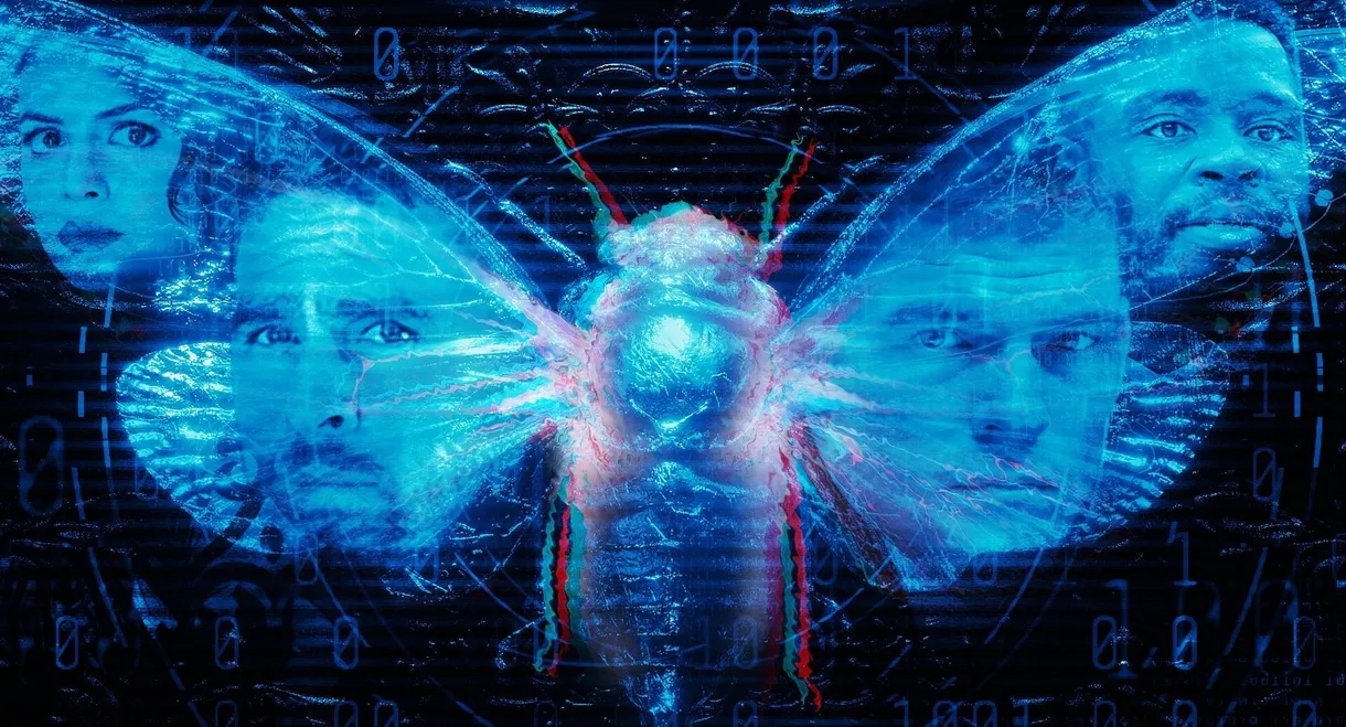 Dark Web: Cicada 3301