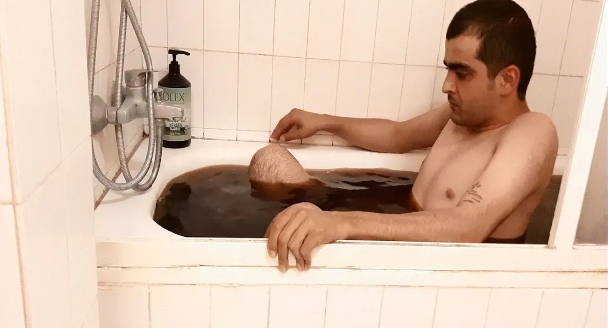 The Awakening Vector