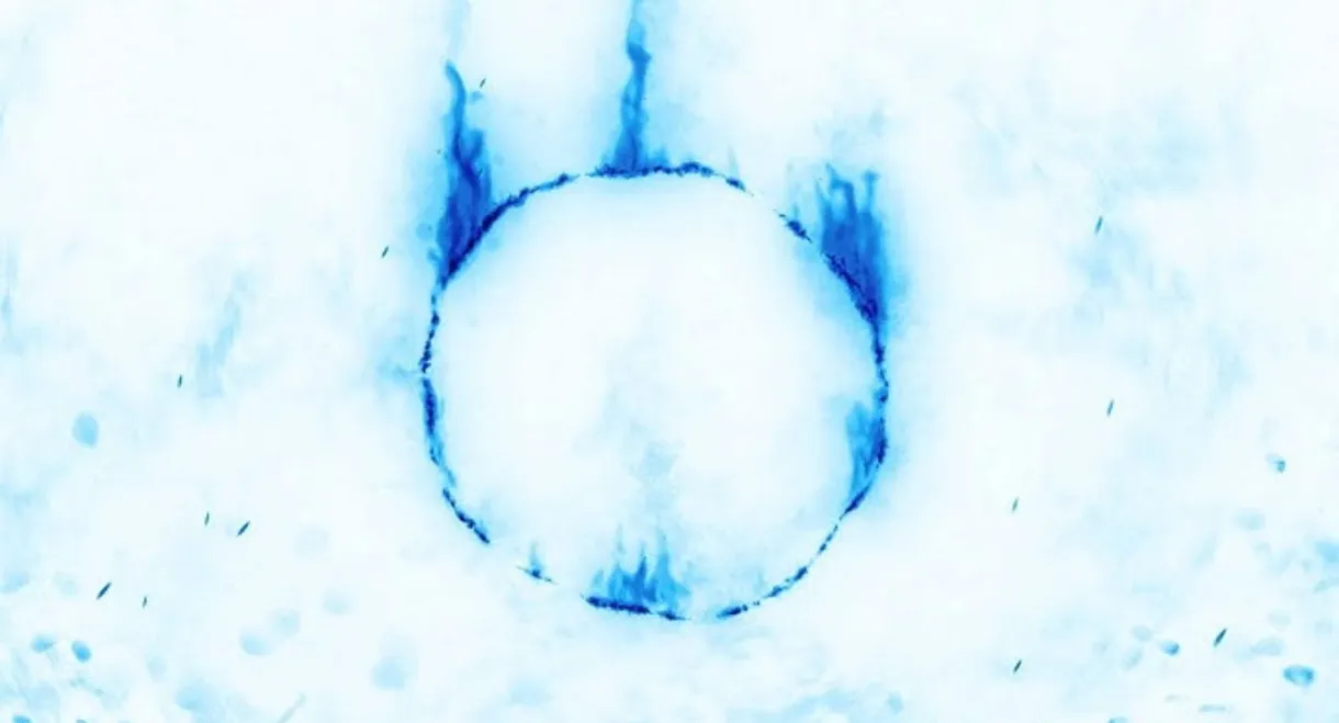 Sabaku, Cydonia e Dark Souls | IL FILM [REVAMPED]