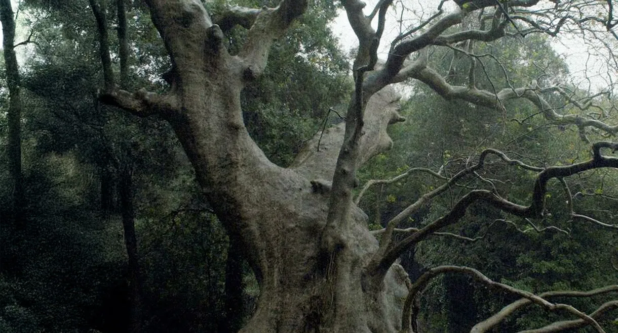 Nuovo cinema paralitico