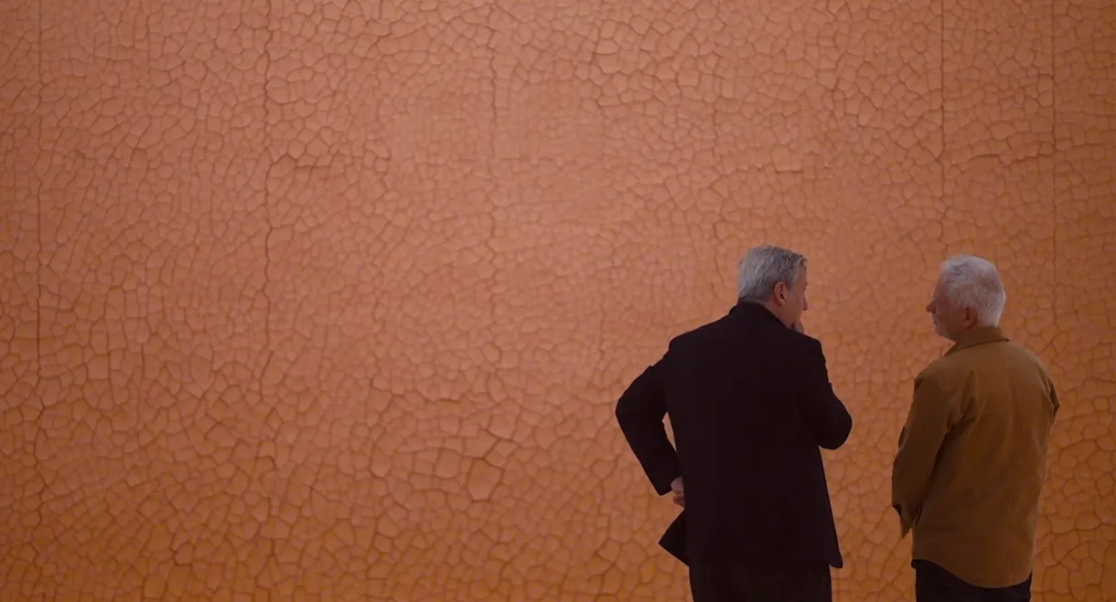 Andy Goldsworthy in Conversation with Andrew Graham-Dixon