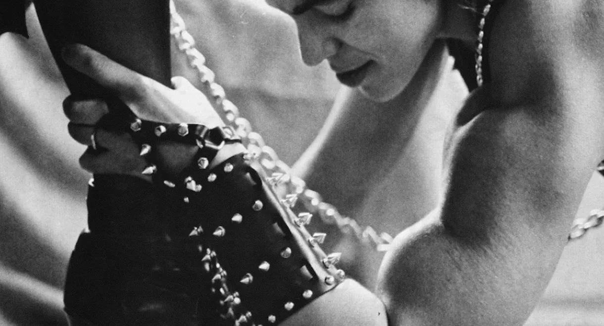 BloodSisters: Leather, Dykes, and Sadomasochism