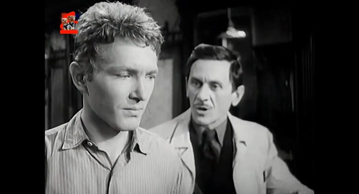 Saint Elizabeth Square