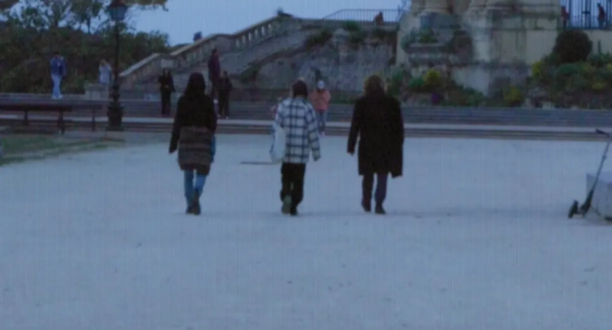 Des graines plein la tête