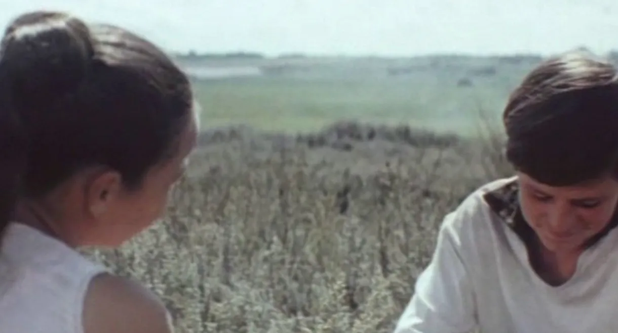 The Fifteenth Spring