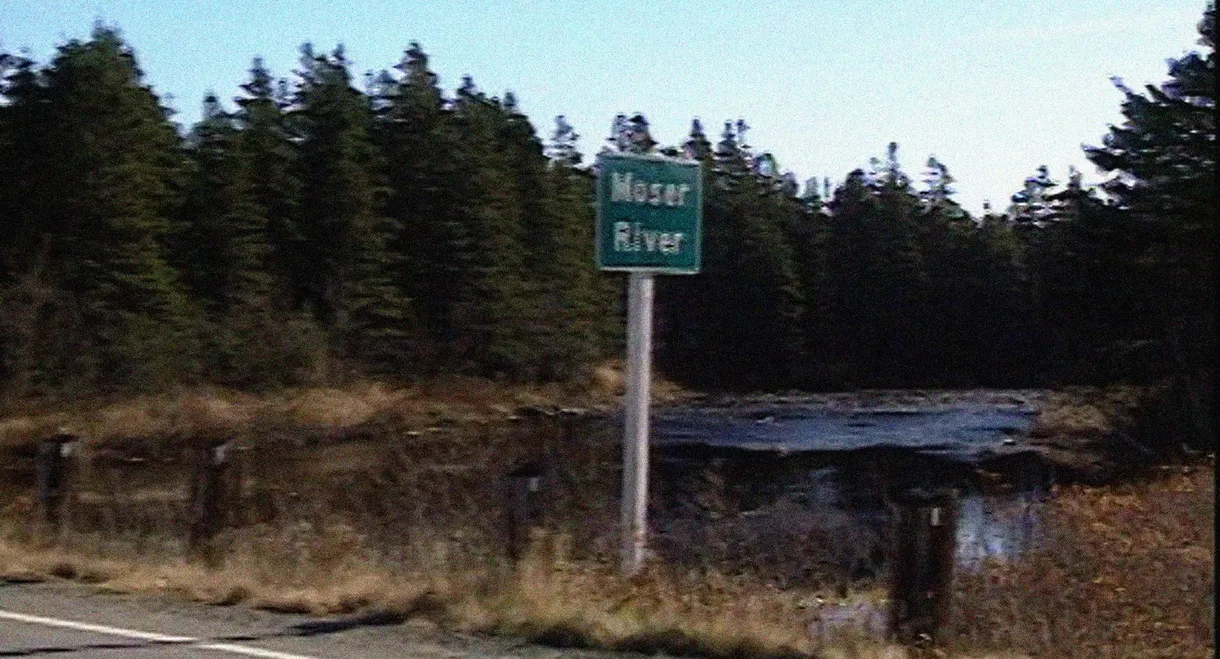 The Battle for Moser River