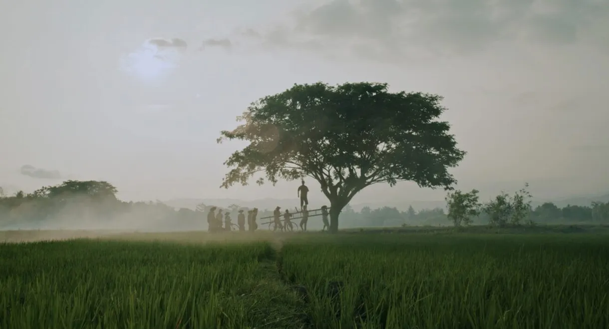 The Hole, 309 Days to the Bloodiest Tragedy