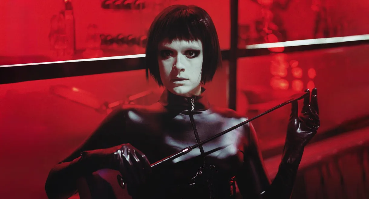 Dogs Don't Wear Pants