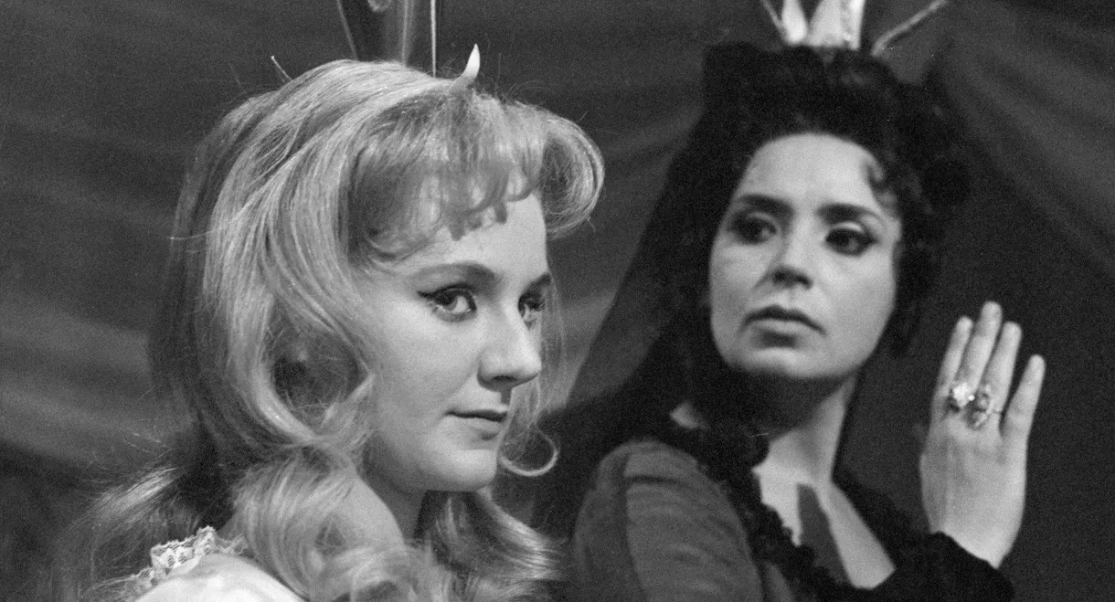 O pasáčkovi a labutích princeznách