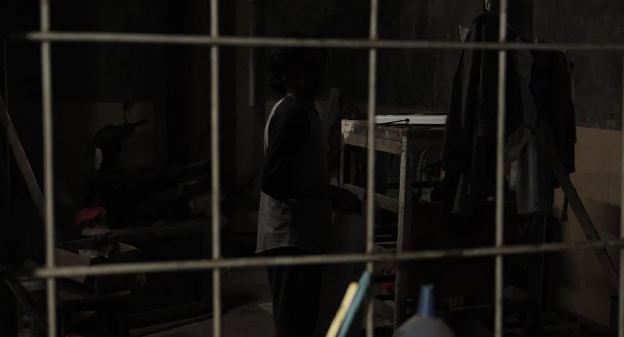 When Stillness Trembles