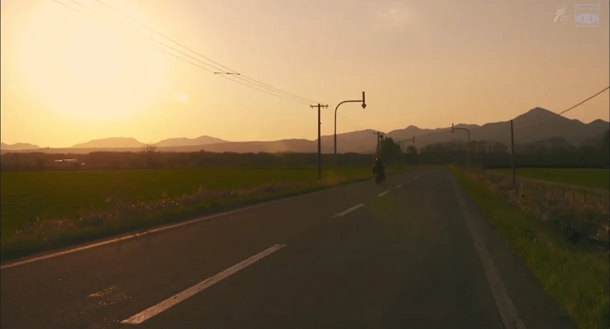 A Distant Cry from Spring