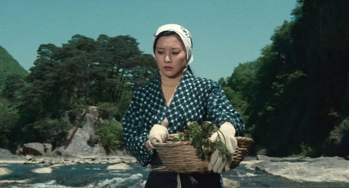 Curse of the Dog God