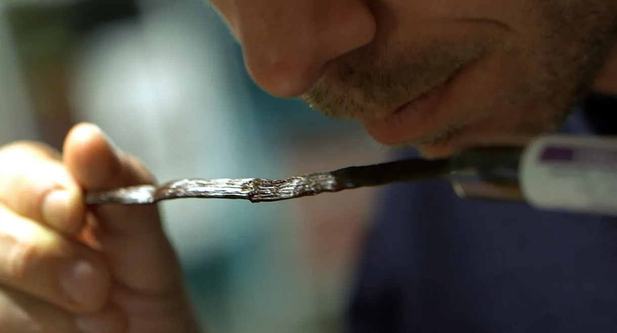 Vanille, les secrets d'un parfum