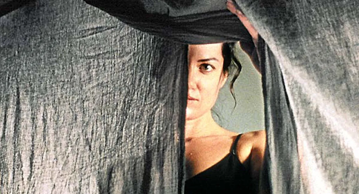 20 Nights and a Rainy Day