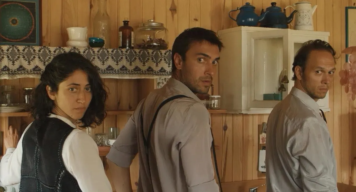 The Yellow, The Cat, The Kayakers and The Host