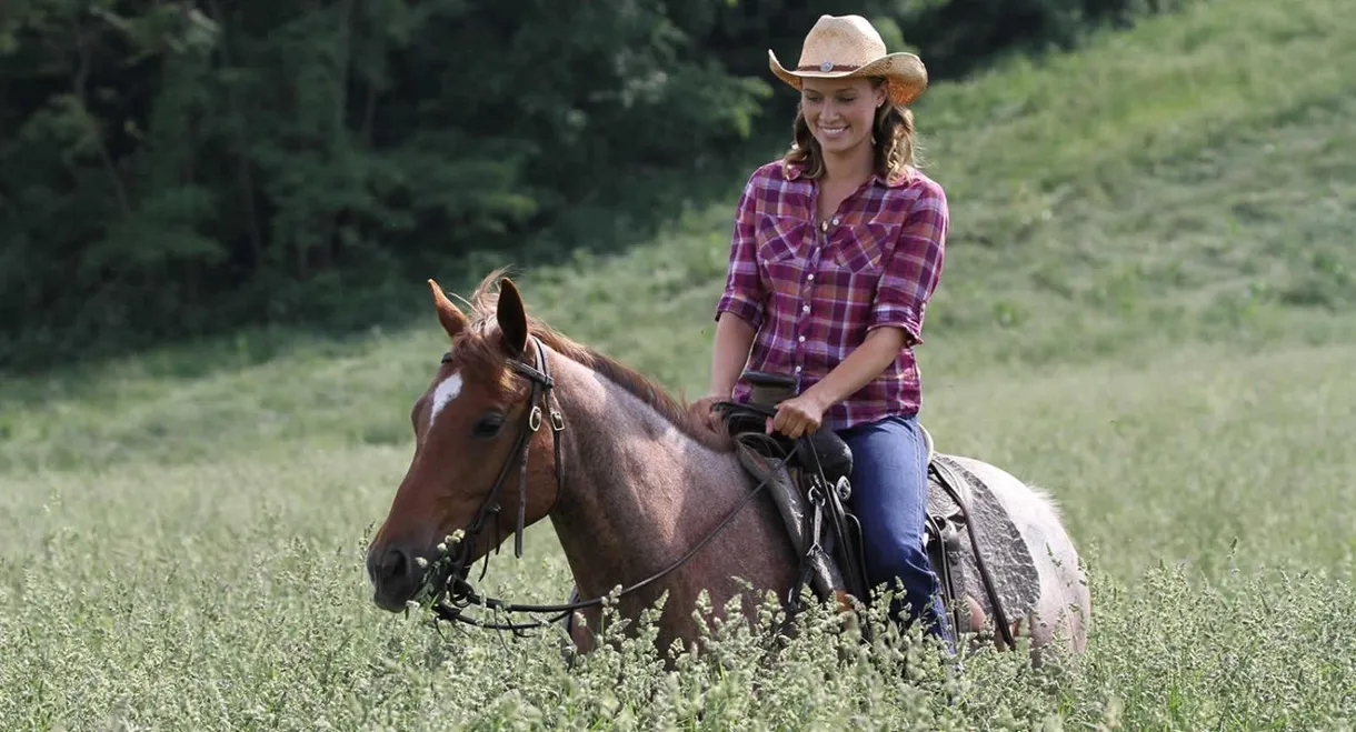 Love Finds You in Valentine