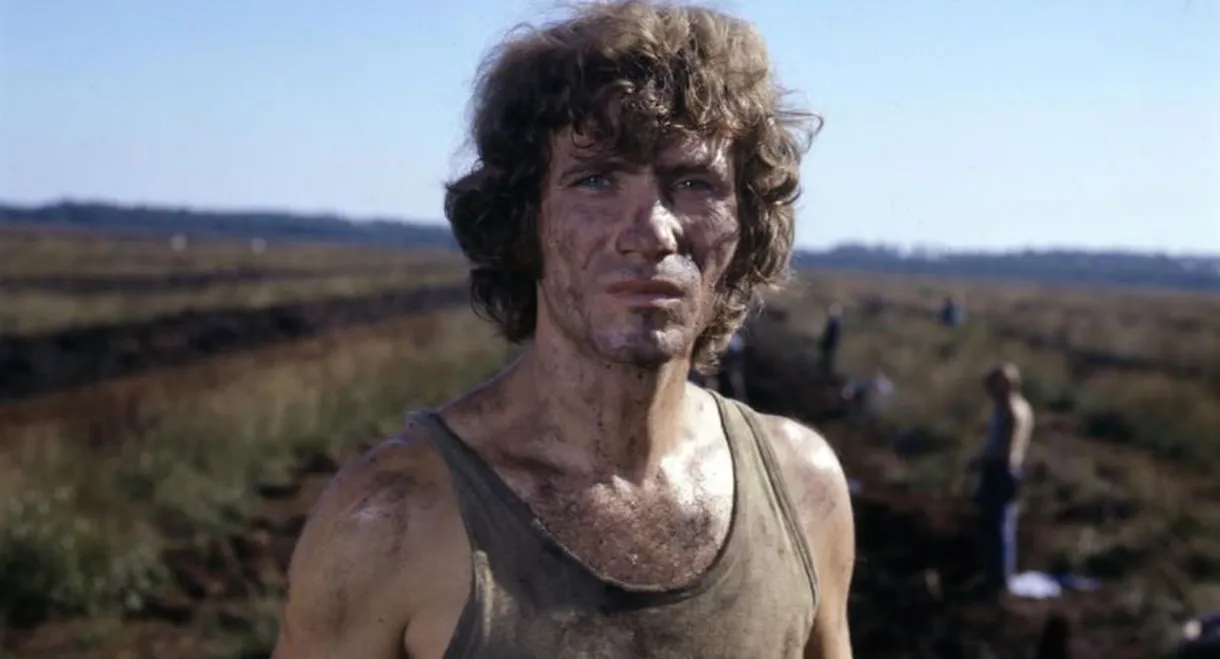 The Brutalization of Franz Blum