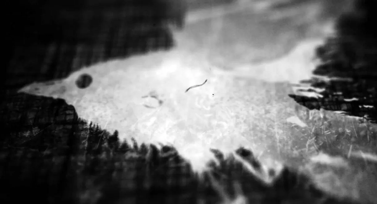 Ted Hughes: Stronger Than Death