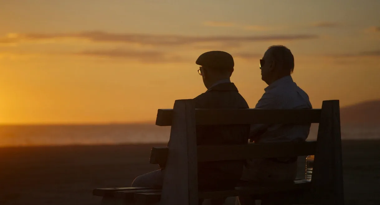 Das erste Jahrhundert des Walter Arlen