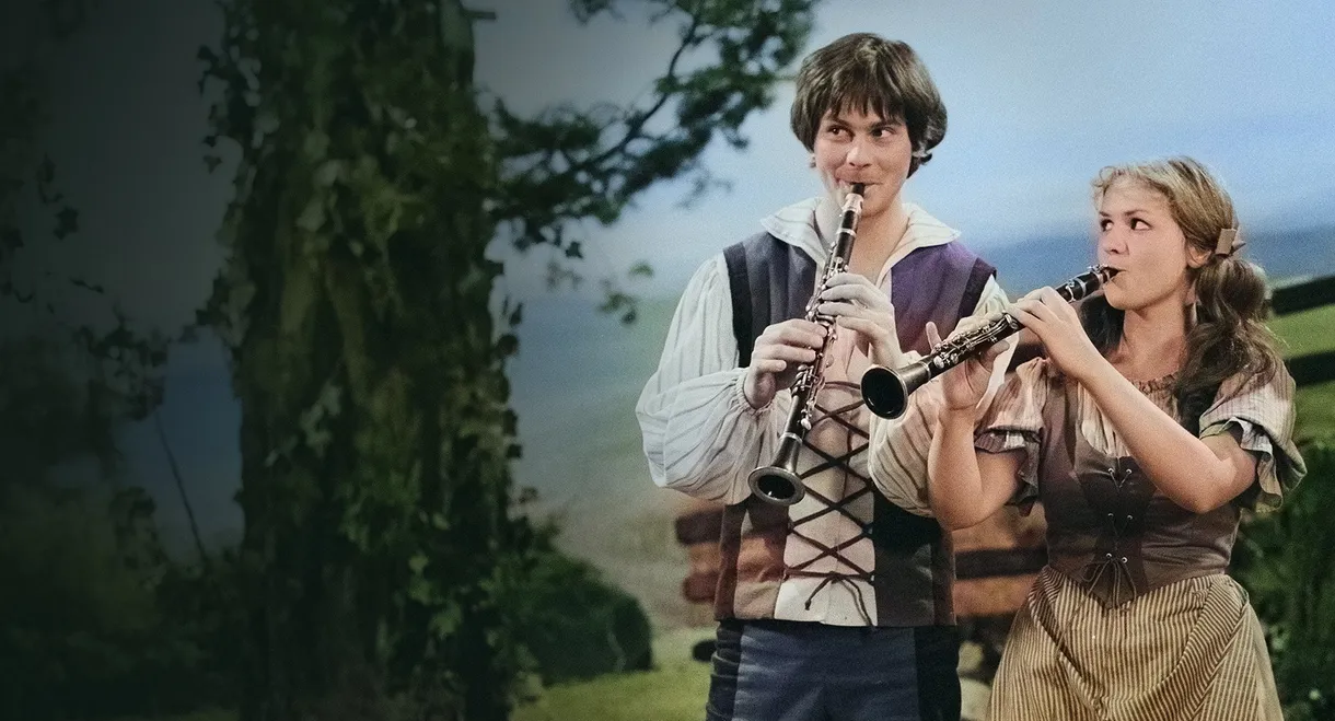 Když hraje klarinet