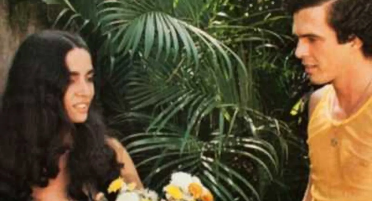 The Adventures of a Paraíba