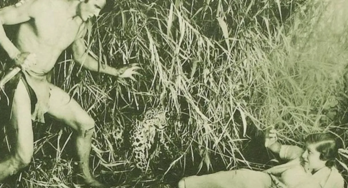 The New Adventures of Tarzan