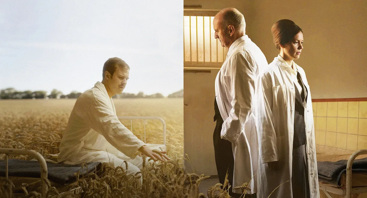 The Insane Experiment