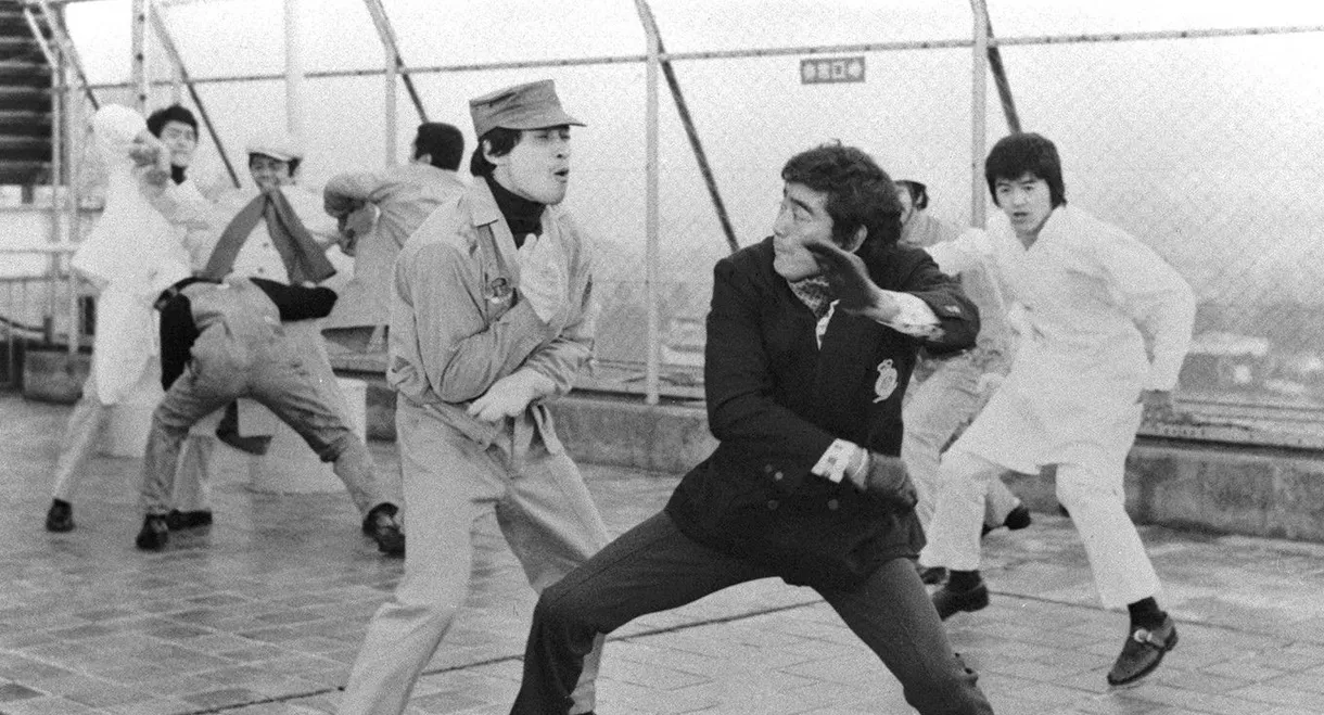 The Executioner II: Karate Inferno