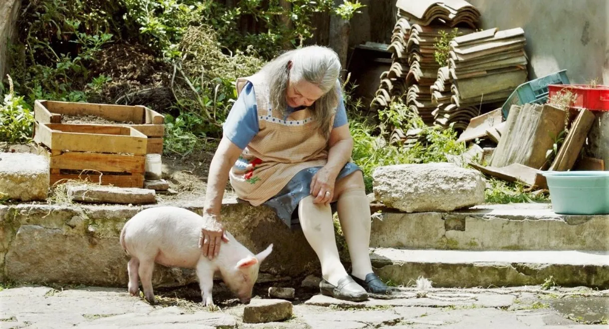 Esmeralda’s Twilight