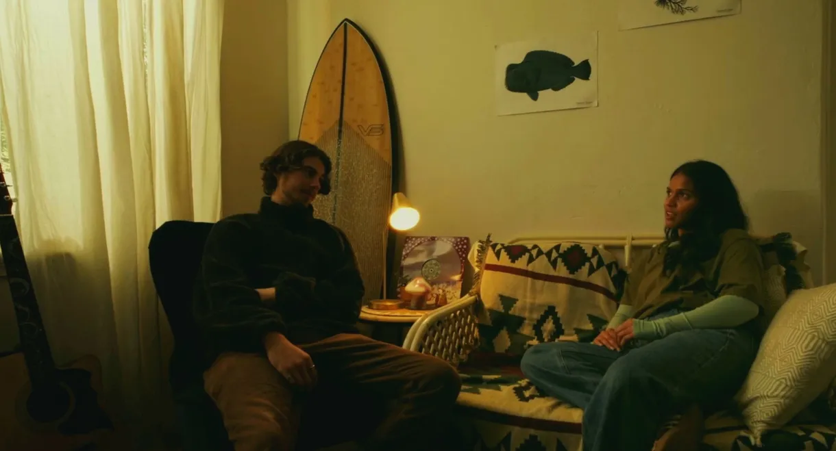 Never Needed Anybody