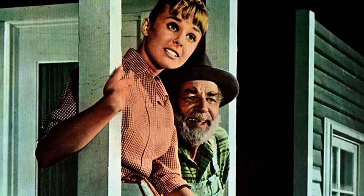 Tammy and the Millionaire