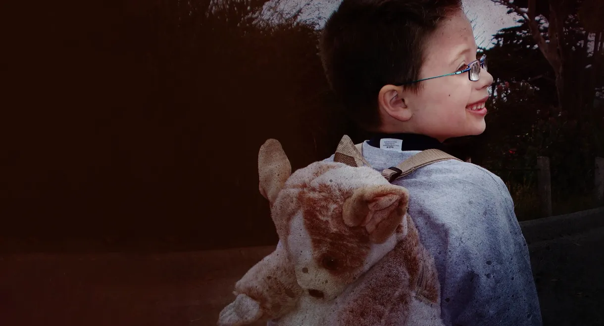 Little Boy Lost: An ID Mystery