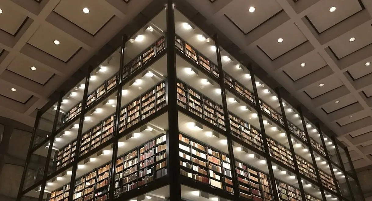 Palladio: The Power Of Architecture