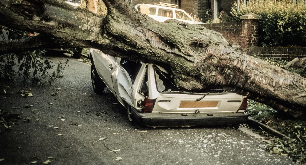 The Great Storm of '87