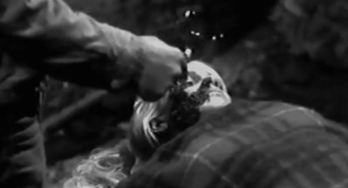 Sadistic Hallucinations