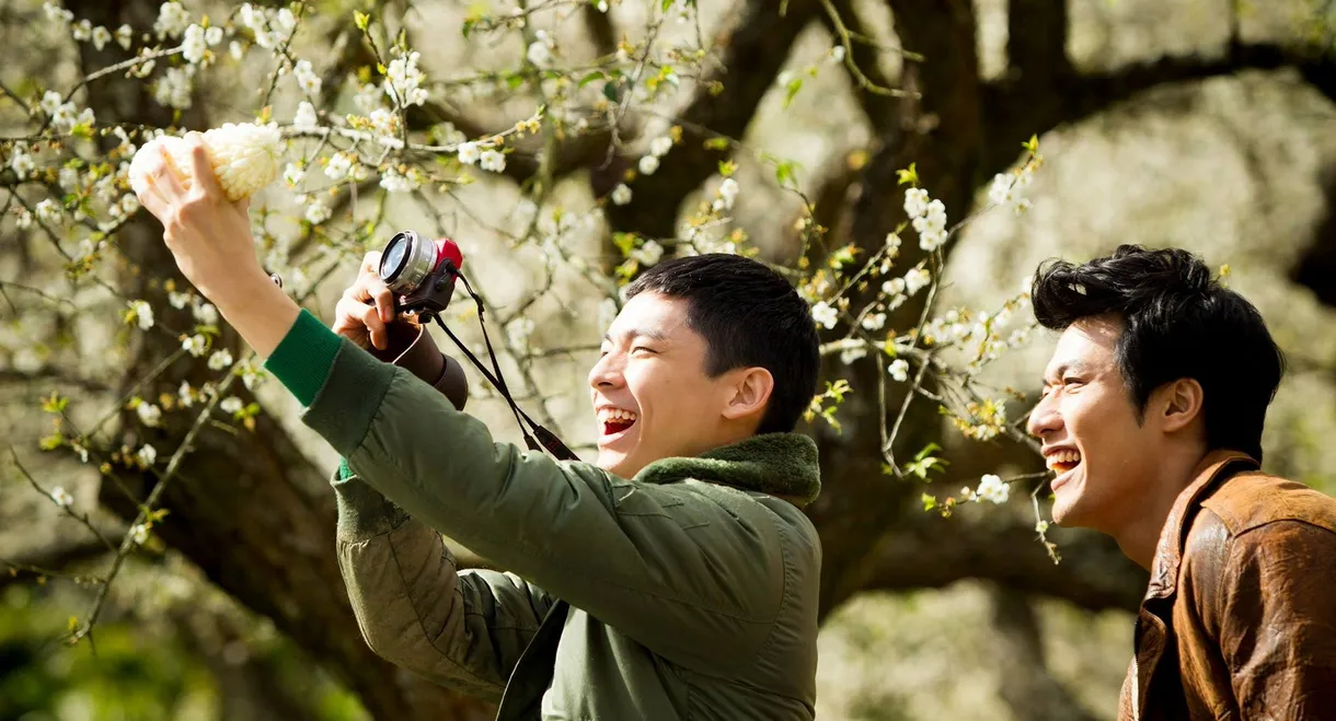 Anywhere Somewhere Nowhere